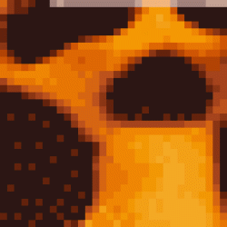 Óculos de Sol Gatinho Redondo Grande Acetato Reciclado - Tartaruga