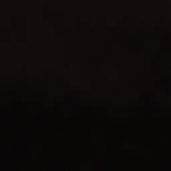 Óculos de Sol Gatinho Acetato - Preto